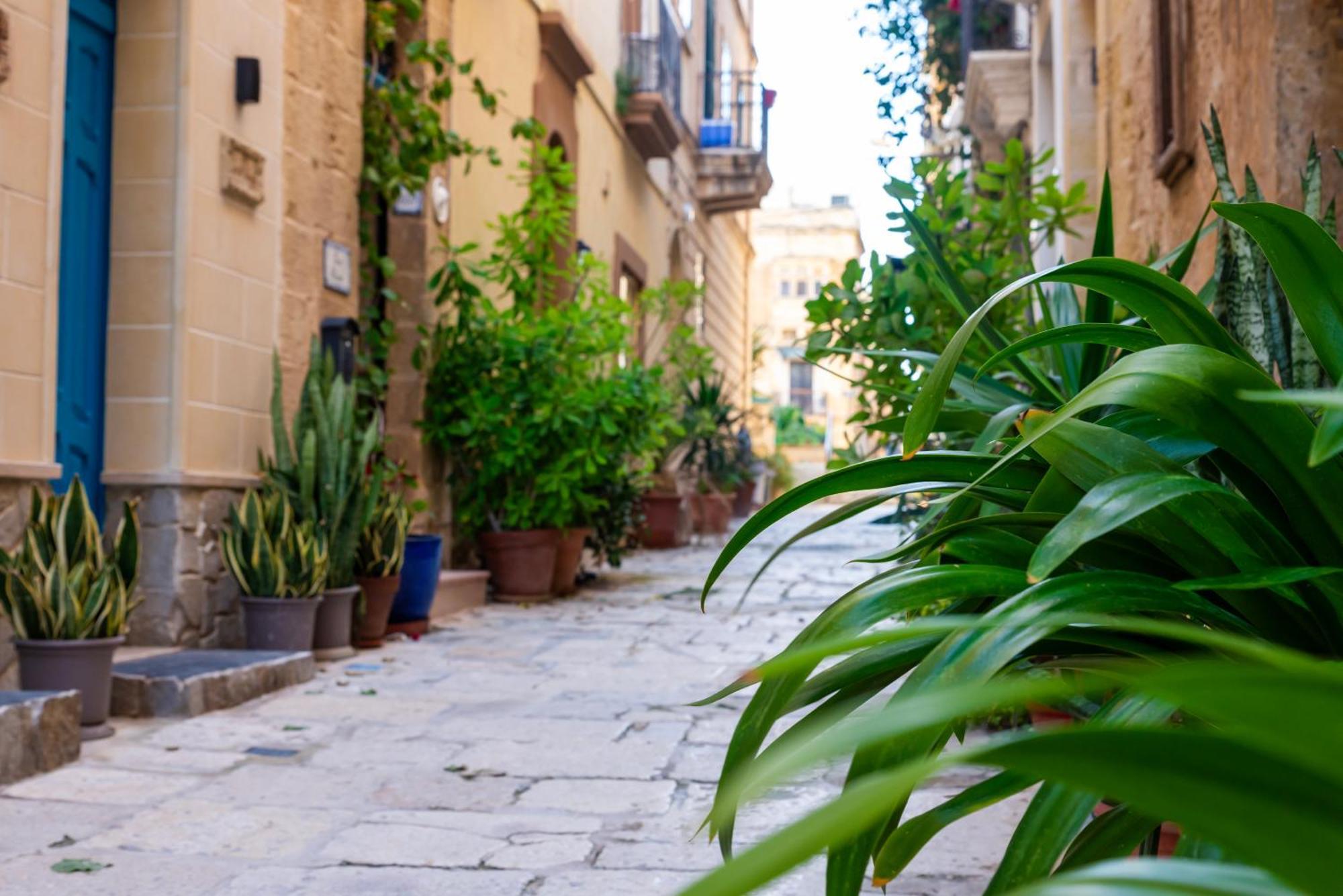 Great Siege Apartment Senglea Exteriér fotografie